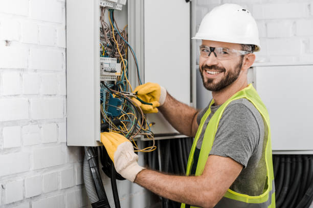 Best Industrial Electrical Services  in Baldwin, MI
