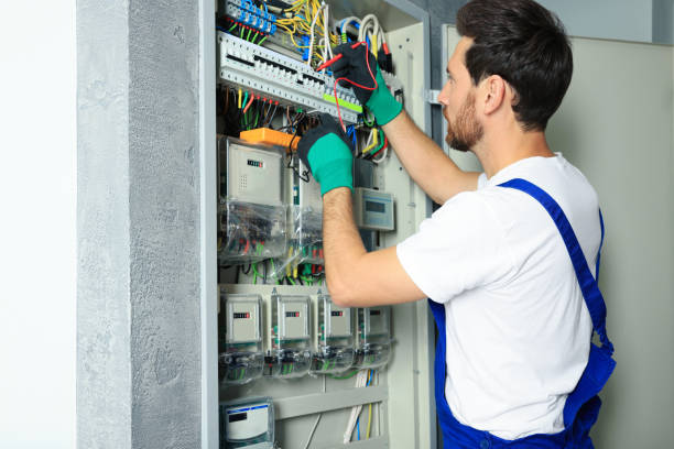 Best Electrician for Home Renovation  in Baldwin, MI