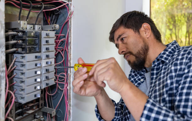 Best Electrical Upgrades for Homes  in Baldwin, MI